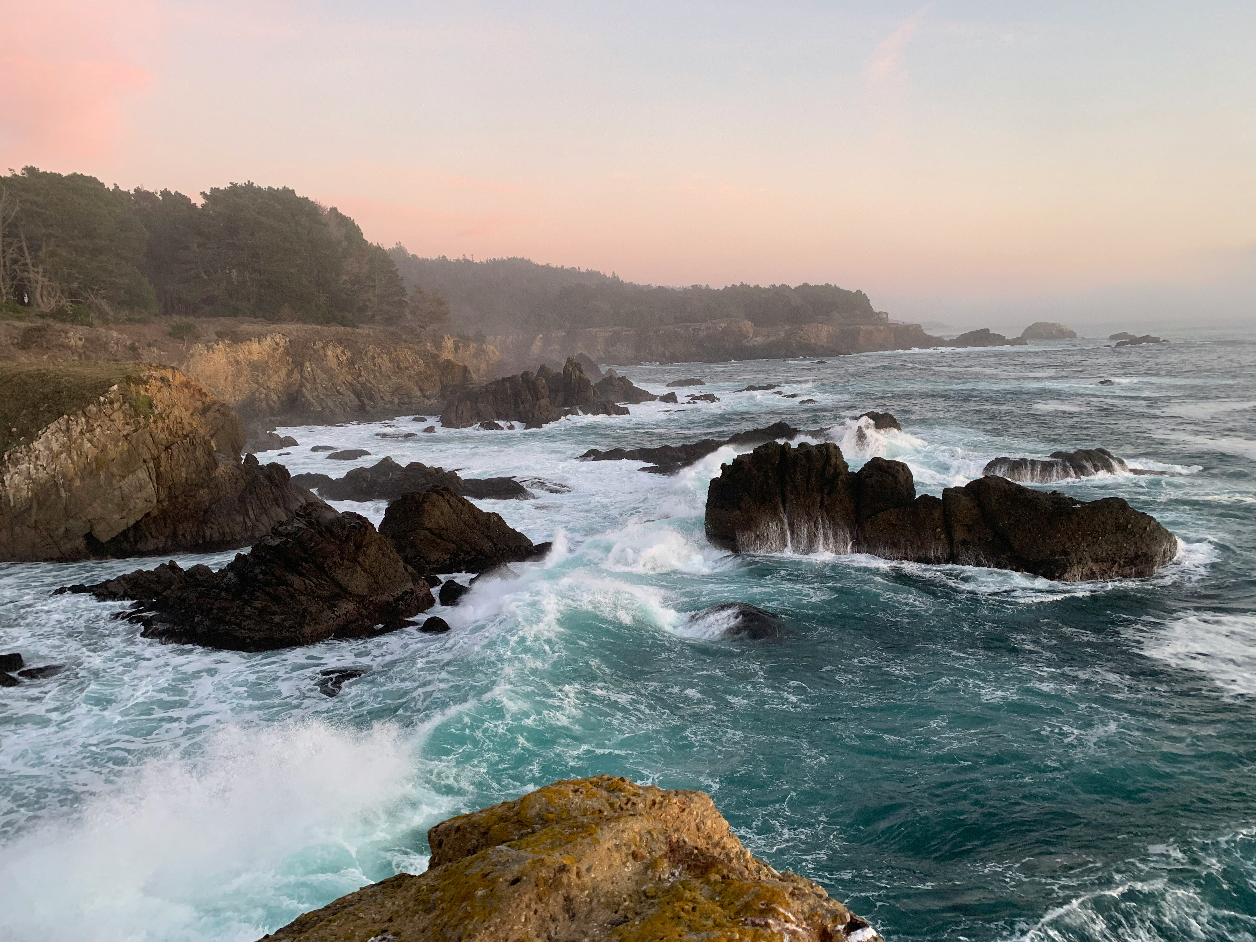 Bodega_Bay_Rachel_Faller.jpg
